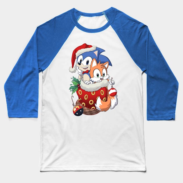 Stocking Stuffer: Hedgehog Baseball T-Shirt by Dooomcat